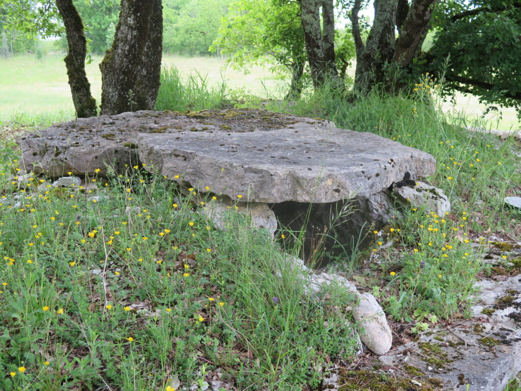 tradition des druides dolmen philosophie enseignement mégalithe menhir tribann géobiologie